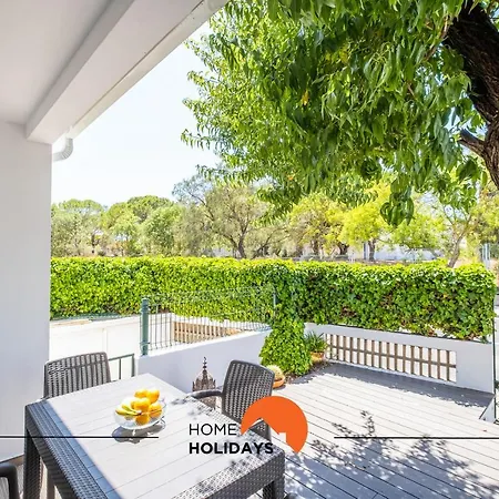 #047 Almond Tree By Holidays